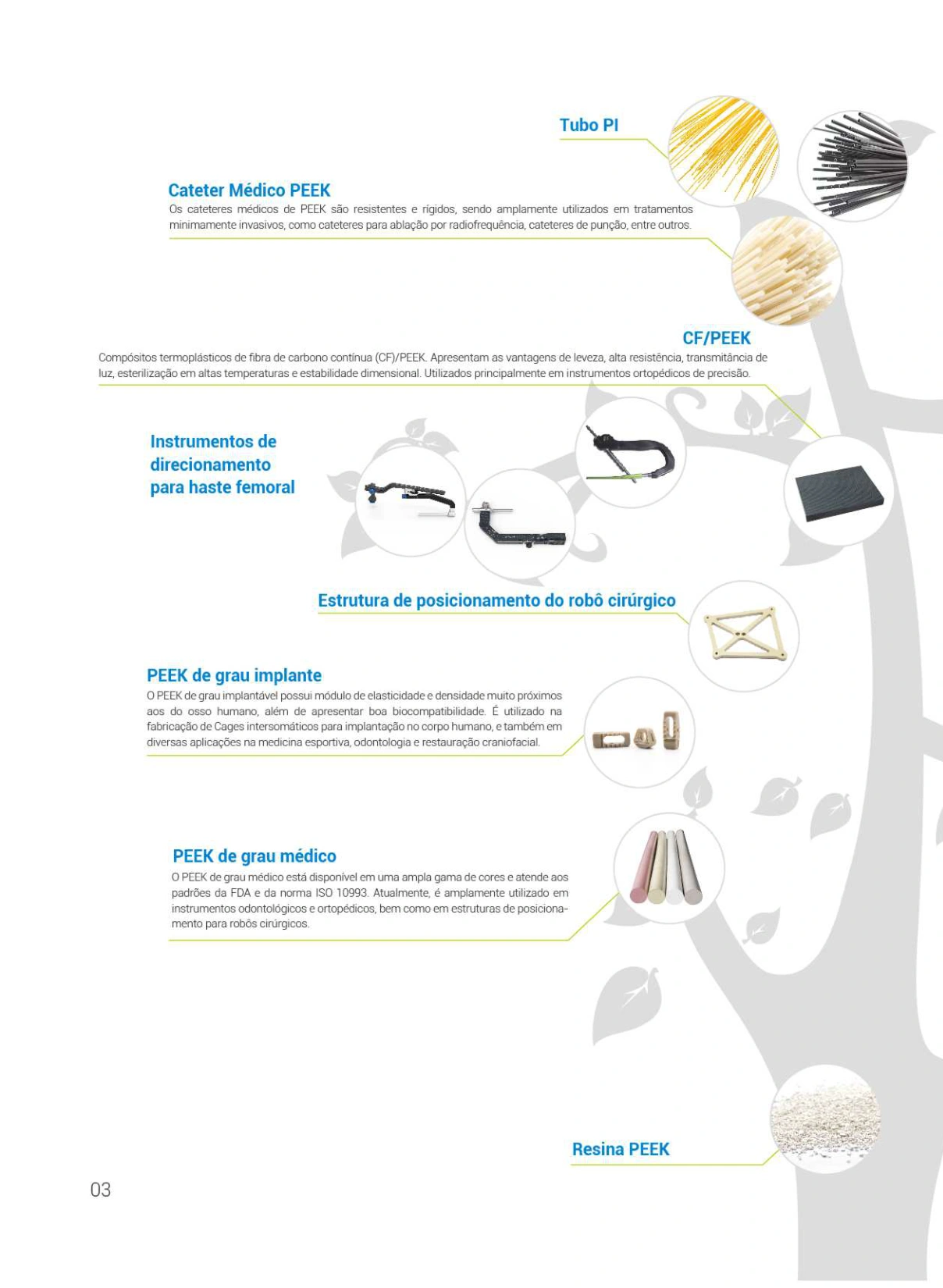 PEEK Solutions for the Medical Field (Portuguese)