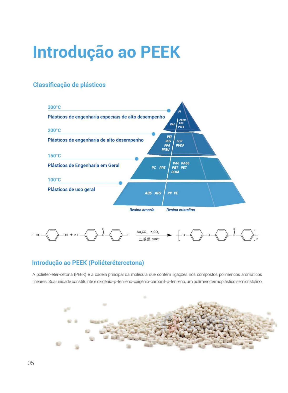 PEEK Solutions for the Medical Field (Portuguese)